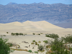 The Sand Dunes