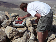 Seasoning steaks